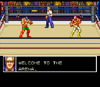 Screenshot Thumbnail / Media File 1 for Funaki Masakatsu Hybrid Wrestler - Tougi Denshou (Japan) [En by Phil v1.0]